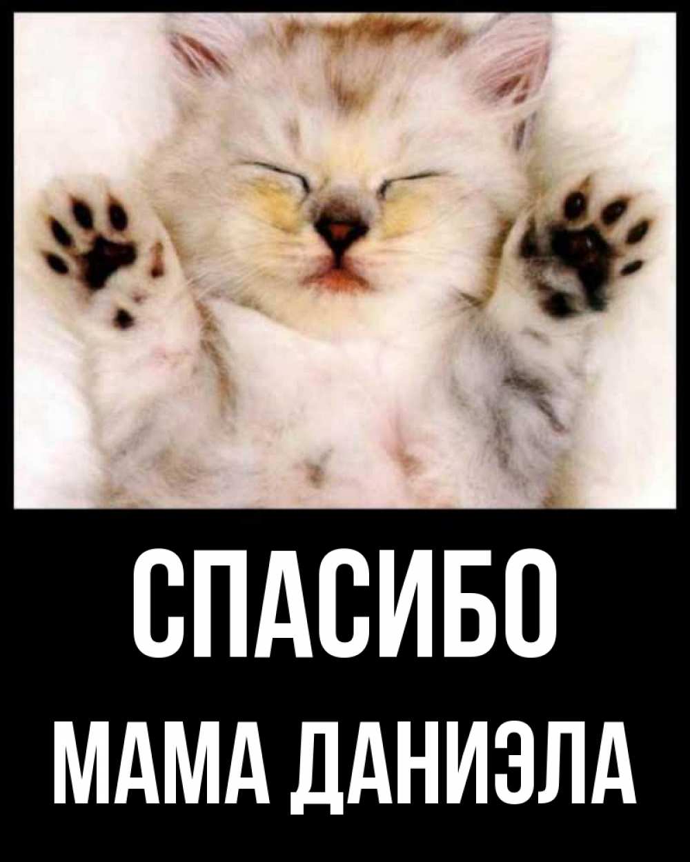Открытка на каждый день с именем, Мама-Даниэла Спасибо маленький котенок Прикольная открытка с пожеланием онлайн скачать бесплатно 
