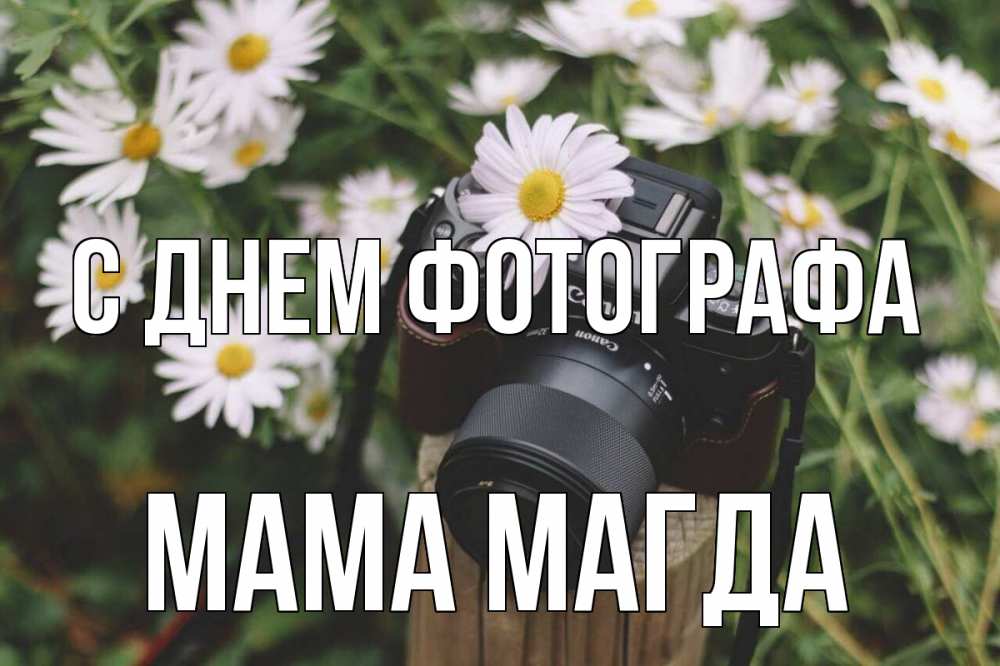 Открытка на каждый день с именем, Мама-Магда С днем фотографа с днем фотографа Прикольная открытка с пожеланием онлайн скачать бесплатно 