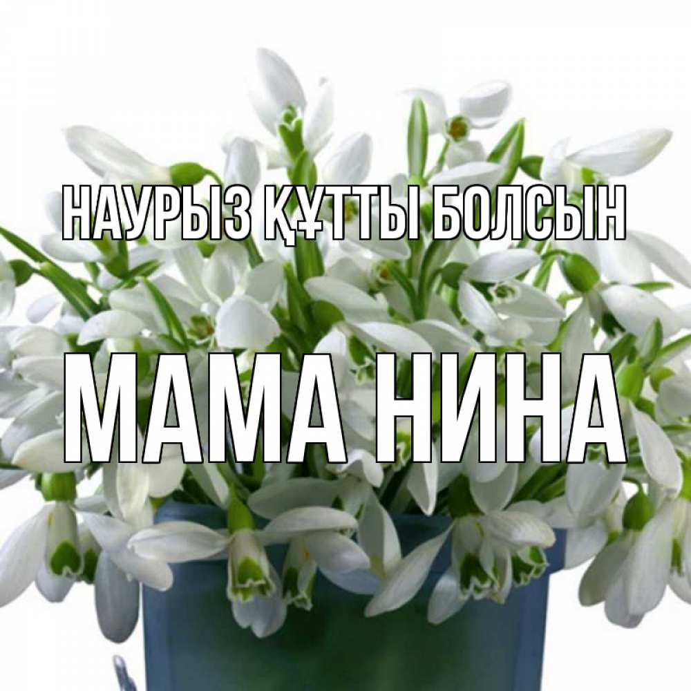 Открытка на каждый день с именем, Мама-Нина Наурыз құтты болсын цветы к наурызу Прикольная открытка с пожеланием онлайн скачать бесплатно 