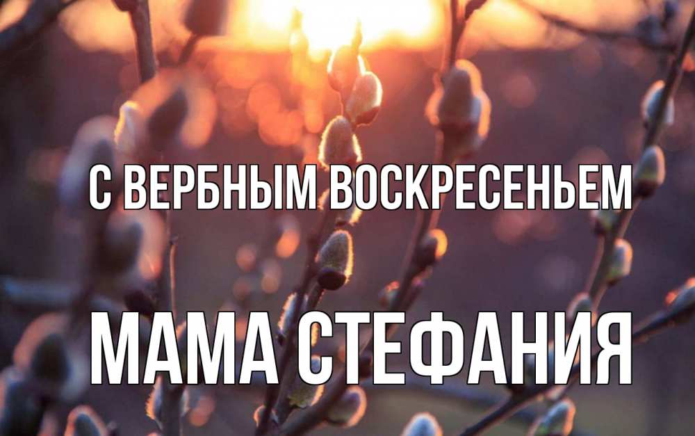 Открытка на каждый день с именем, Мама-Стефания С вербным воскресеньем верба Прикольная открытка с пожеланием онлайн скачать бесплатно 