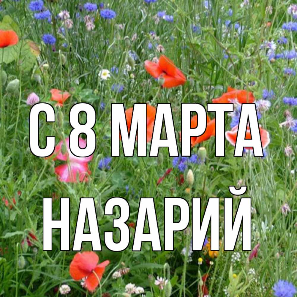 Открытка на каждый день с именем, Назарий С 8 МАРТА международный женский день 4 Прикольная открытка с пожеланием онлайн скачать бесплатно 