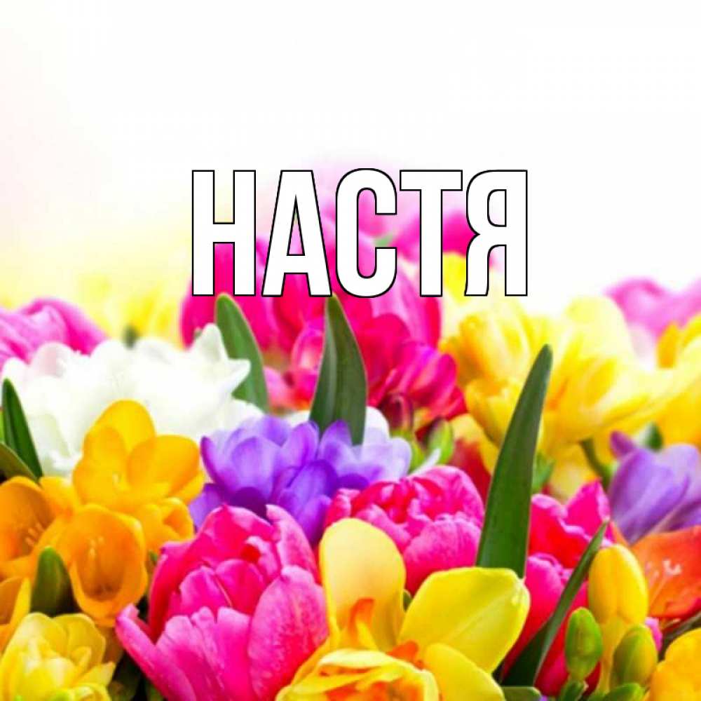 Открытка на каждый день с именем, Настя Главная создать открытку со свое подписью Прикольная открытка с пожеланием онлайн скачать бесплатно 