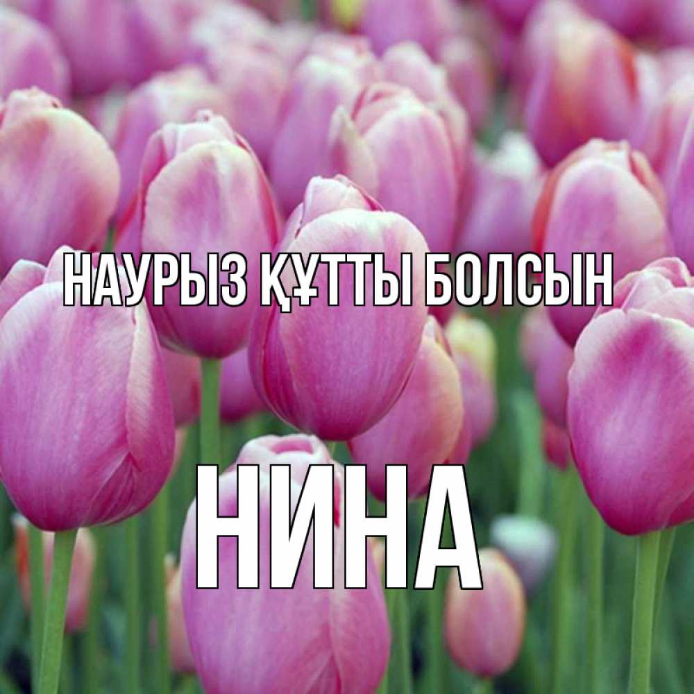 Открытка на каждый день с именем, Нина Наурыз құтты болсын на наурыз  день 3 Прикольная открытка с пожеланием онлайн скачать бесплатно 