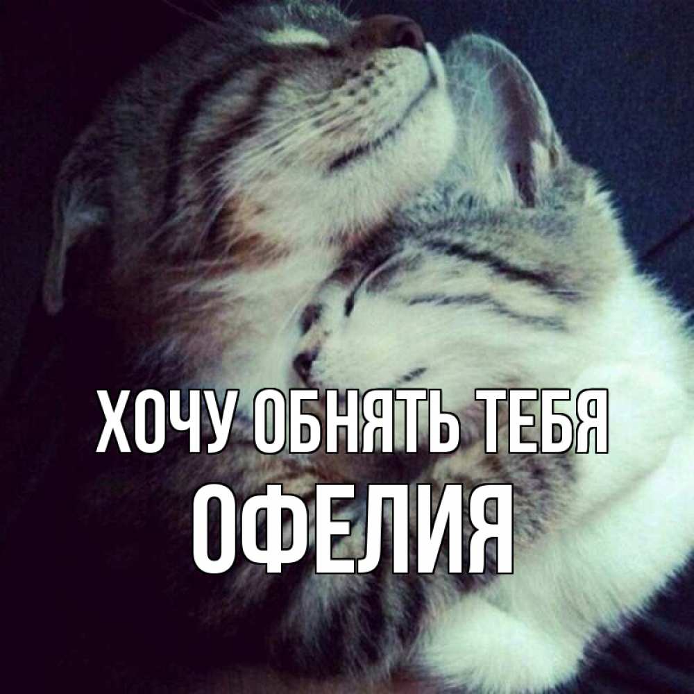 Открытка на каждый день с именем, Офелия Хочу обнять тебя полосатики Прикольная открытка с пожеланием онлайн скачать бесплатно 