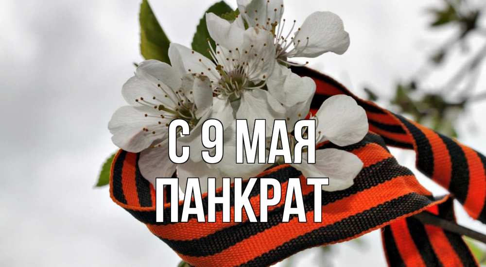 Открытка на каждый день с именем, Панкрат С 9 мая 9 мая Прикольная открытка с пожеланием онлайн скачать бесплатно 