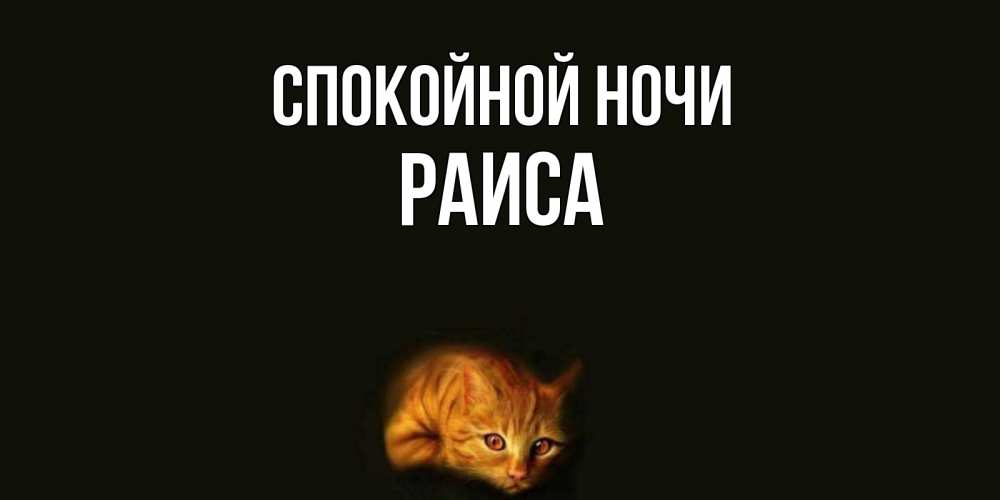Открытка на каждый день с именем, Раиса Спокойной ночи кот Прикольная открытка с пожеланием онлайн скачать бесплатно 
