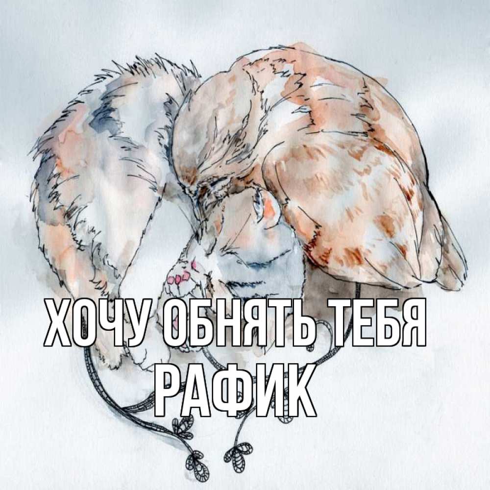 Открытка на каждый день с именем, Рафик Хочу обнять тебя можно быть вместе даже когда очень разные Прикольная открытка с пожеланием онлайн скачать бесплатно 