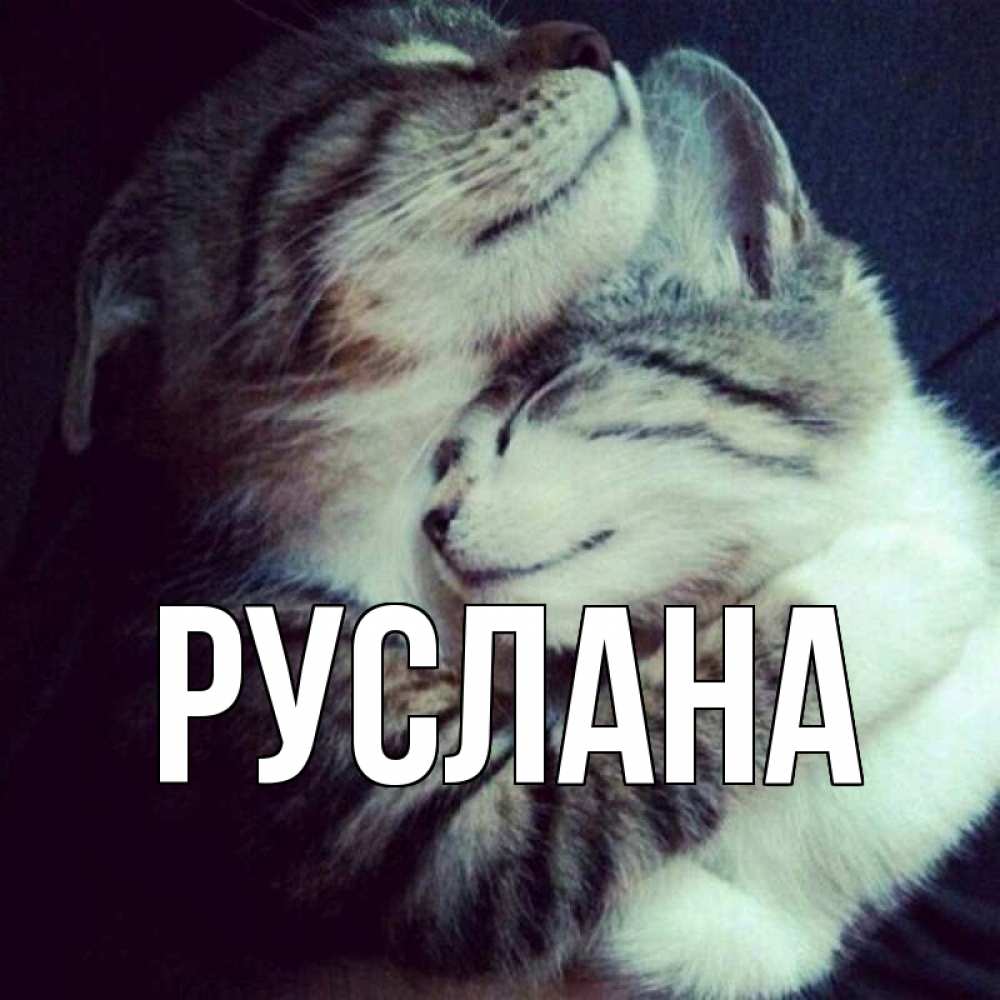 Открытка на каждый день с именем, Руслана Главная полосатики Прикольная открытка с пожеланием онлайн скачать бесплатно 
