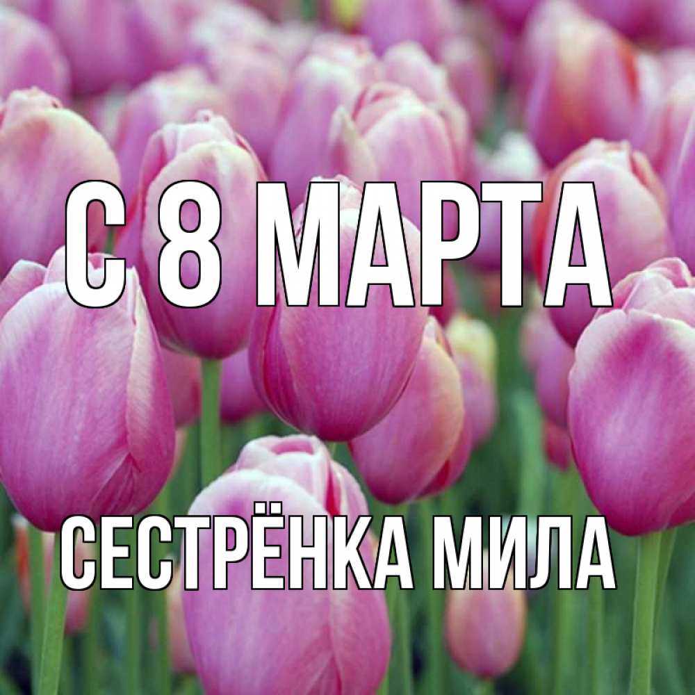 Открытка на каждый день с именем, Сестрёнка-Мила С 8 МАРТА на международный женский день 3 Прикольная открытка с пожеланием онлайн скачать бесплатно 