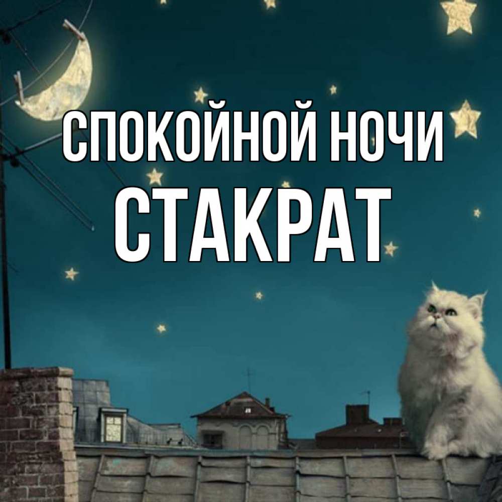 Открытка на каждый день с именем, Стакрат Спокойной ночи белый кот сидит на крыше Прикольная открытка с пожеланием онлайн скачать бесплатно 