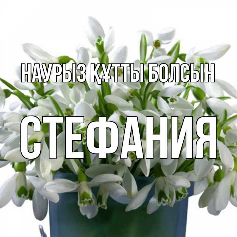 Открытка на каждый день с именем, Стефания Наурыз құтты болсын цветы к наурызу Прикольная открытка с пожеланием онлайн скачать бесплатно 
