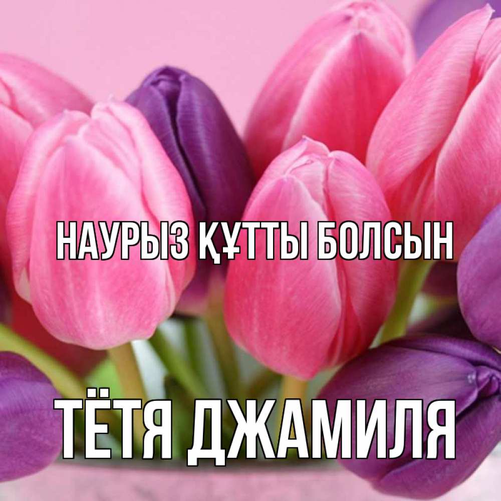 Открытка на каждый день с именем, Тётя-Джамиля Наурыз құтты болсын маме 1 Прикольная открытка с пожеланием онлайн скачать бесплатно 