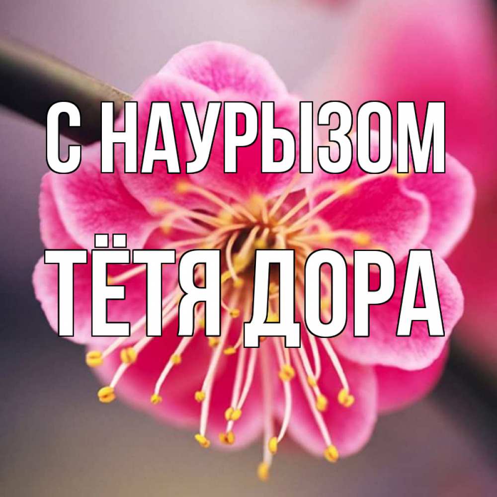 Открытка на каждый день с именем, Тётя-Дора С наурызом цветы Прикольная открытка с пожеланием онлайн скачать бесплатно 