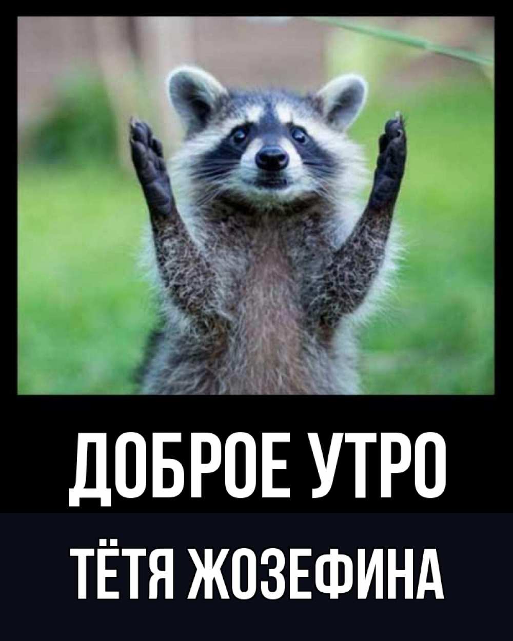 Открытка на каждый день с именем, Тётя-Жозефина Доброе утро хорошее настроение утречком Прикольная открытка с пожеланием онлайн скачать бесплатно 
