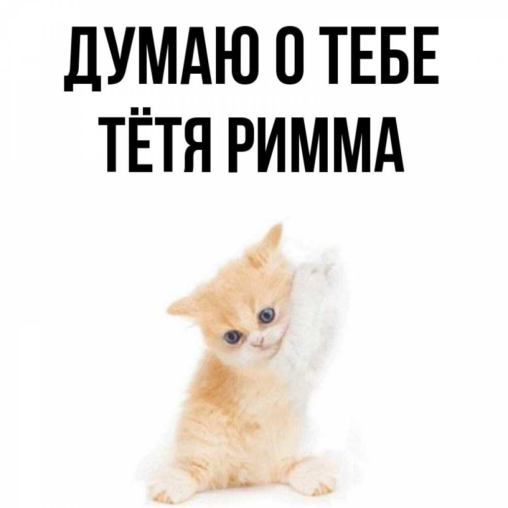 Открытка на каждый день с именем, Тётя-Римма Думаю о тебе зверушки и милота Прикольная открытка с пожеланием онлайн скачать бесплатно 