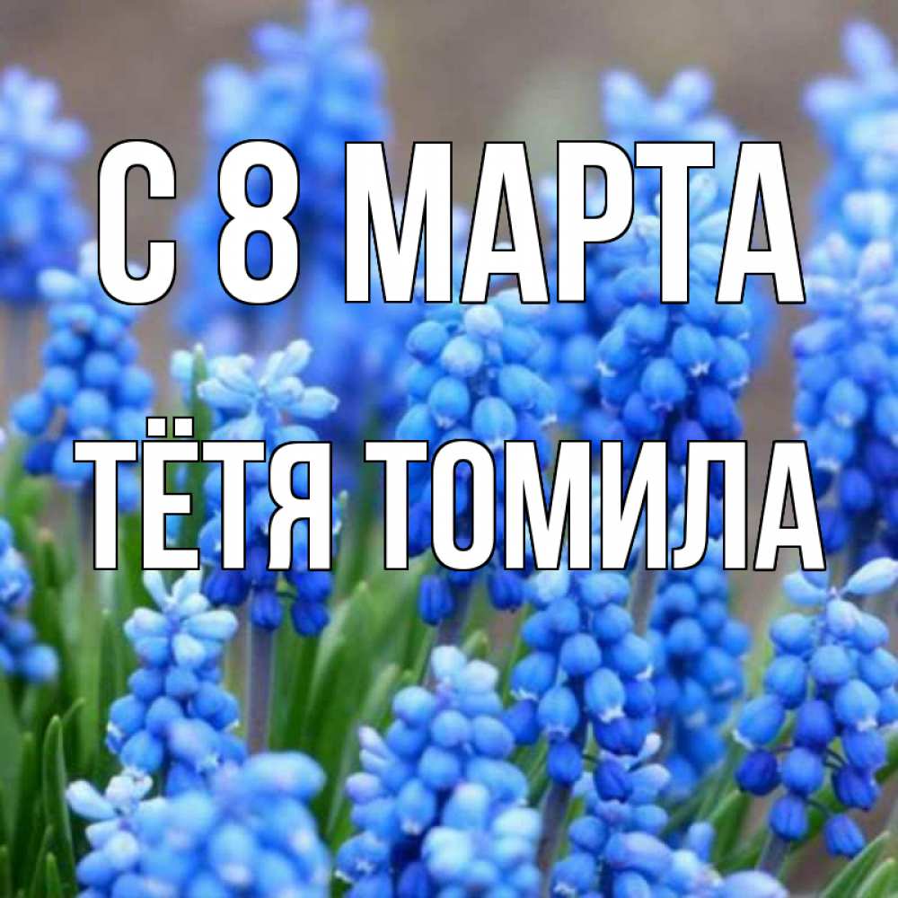 Открытка на каждый день с именем, Тётя-Томила С 8 МАРТА Поздравительная открытка для женщин с цветами на праздничную дату Прикольная открытка с пожеланием онлайн скачать бесплатно 