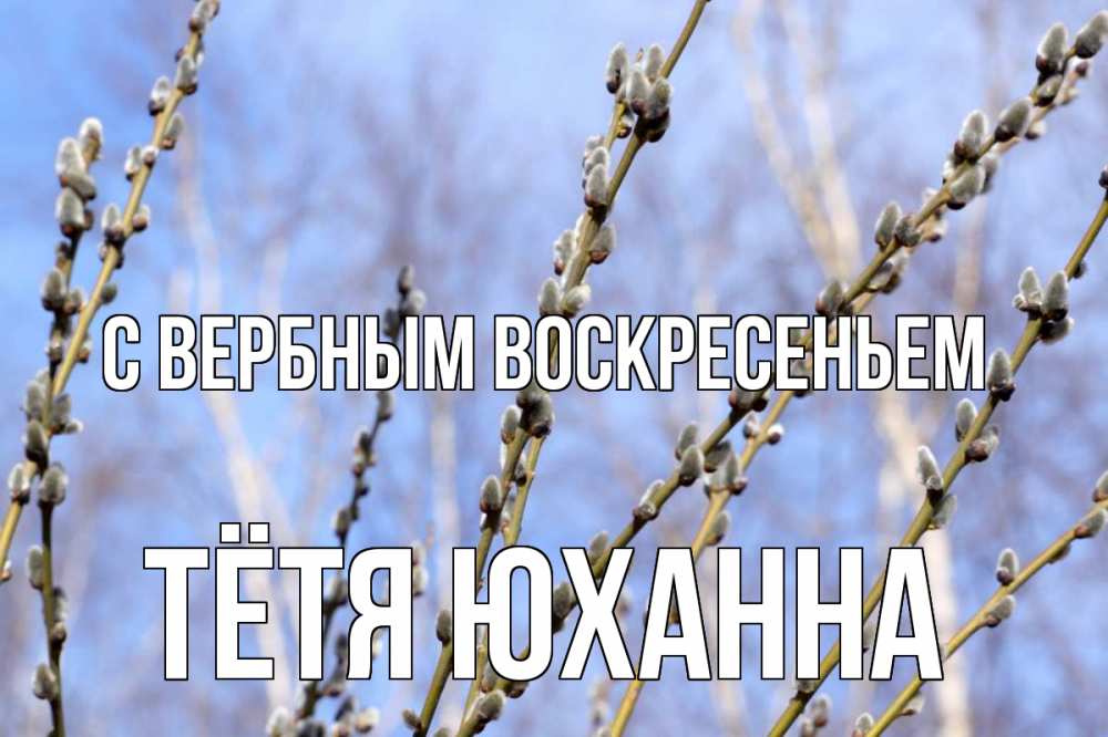 Открытка на каждый день с именем, Тётя-Юханна С вербным воскресеньем верба Прикольная открытка с пожеланием онлайн скачать бесплатно 