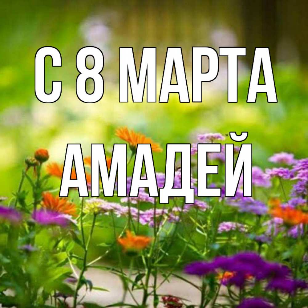 Открытка на каждый день с именем, Амадей С 8 МАРТА цветы Прикольная открытка с пожеланием онлайн скачать бесплатно 