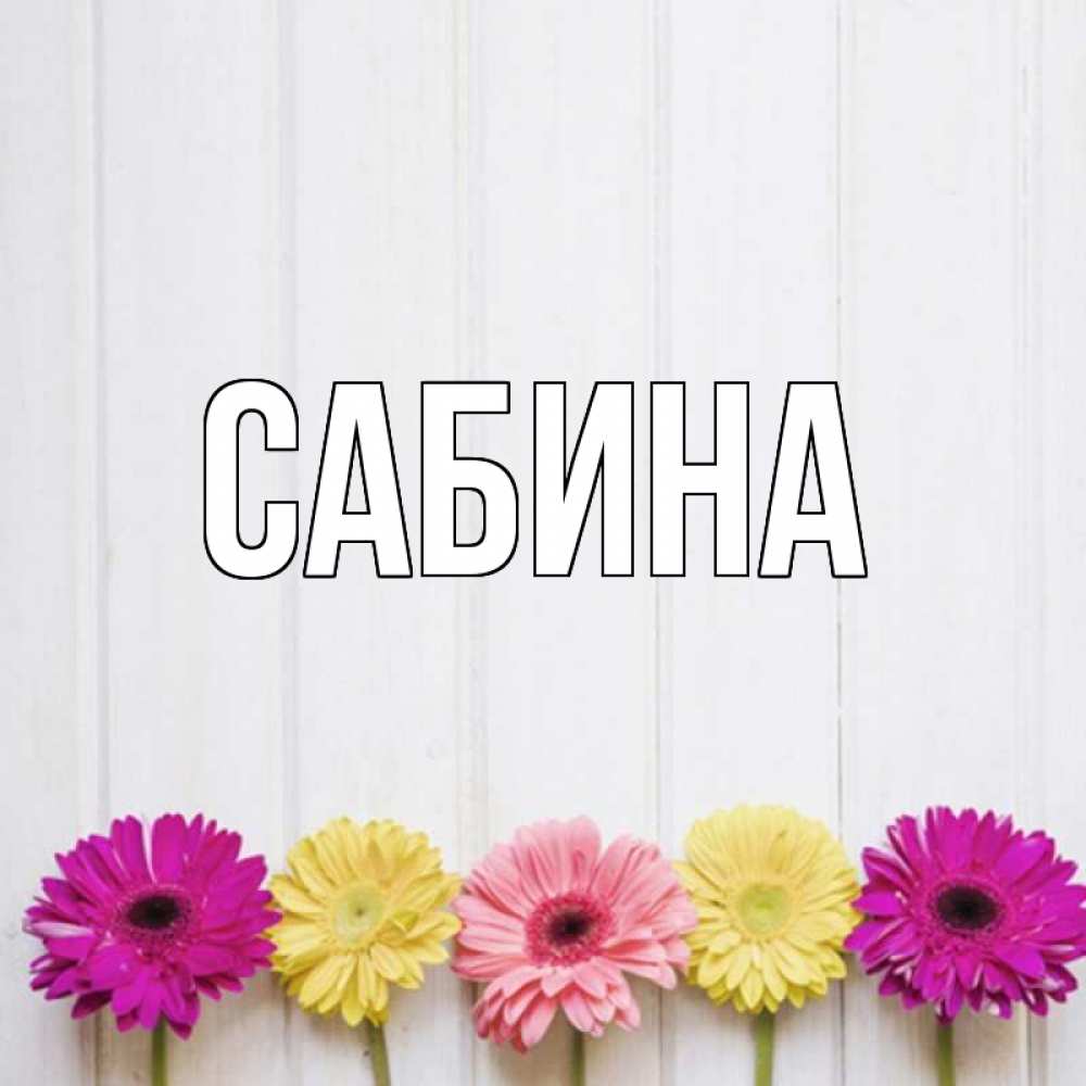 Открытка на каждый день с именем, Сабина Главная красный желтый и розовый цветок Прикольная открытка с пожеланием онлайн скачать бесплатно 
