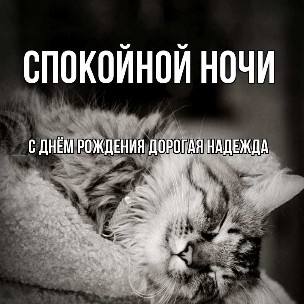 Картинка Спокойной ночи, С Днём Рождения, дорогая Надежда! 