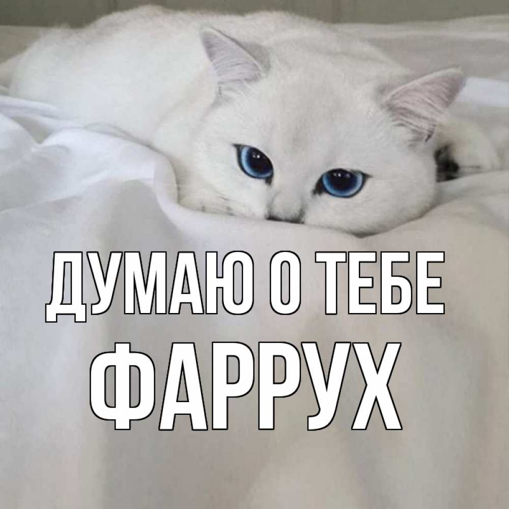 Картинка Думаю о тебе, Фаррух