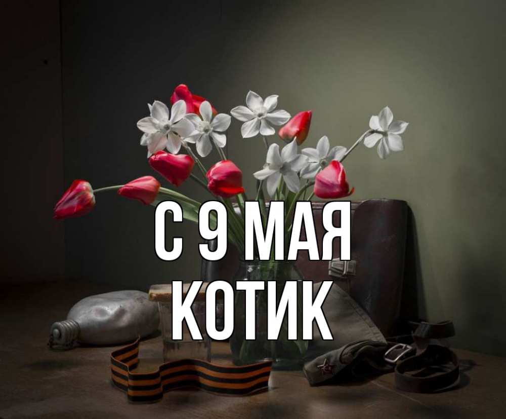 Открытка на каждый день с именем, котик С 9 мая 9 мая Прикольная открытка с пожеланием онлайн скачать бесплатно 