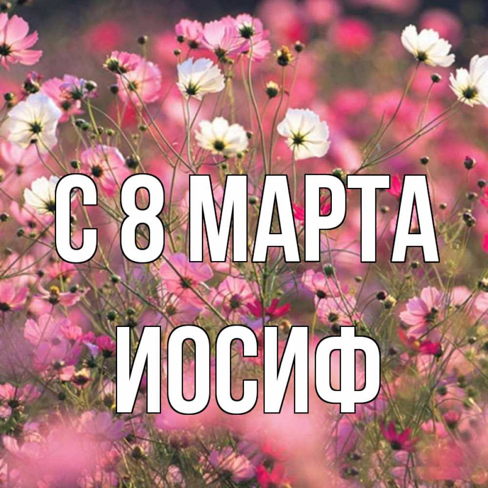 Открытка на каждый день с именем, Иосиф С 8 марта красиво 1 Прикольная открытка с пожеланием онлайн скачать бесплатно 