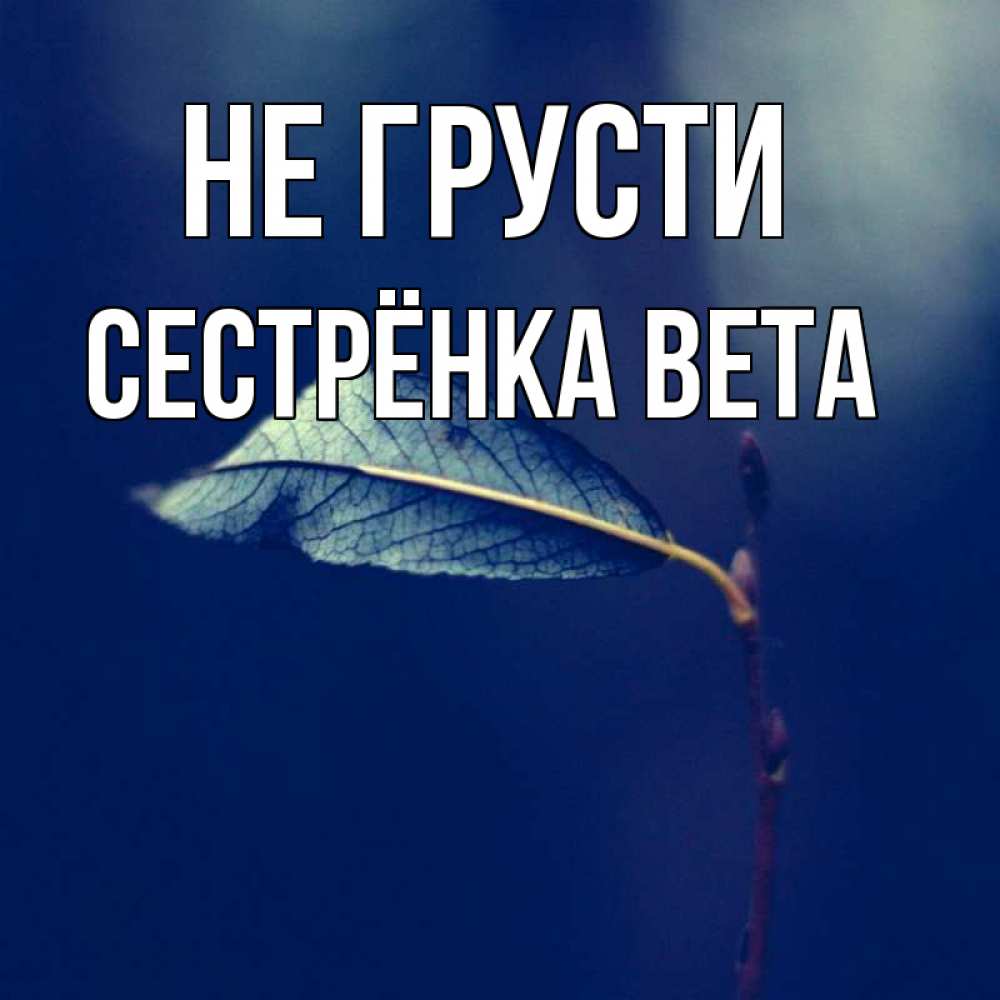 Открытка на каждый день с именем, Сестрёнка-Вета Не грусти растение Прикольная открытка с пожеланием онлайн скачать бесплатно 