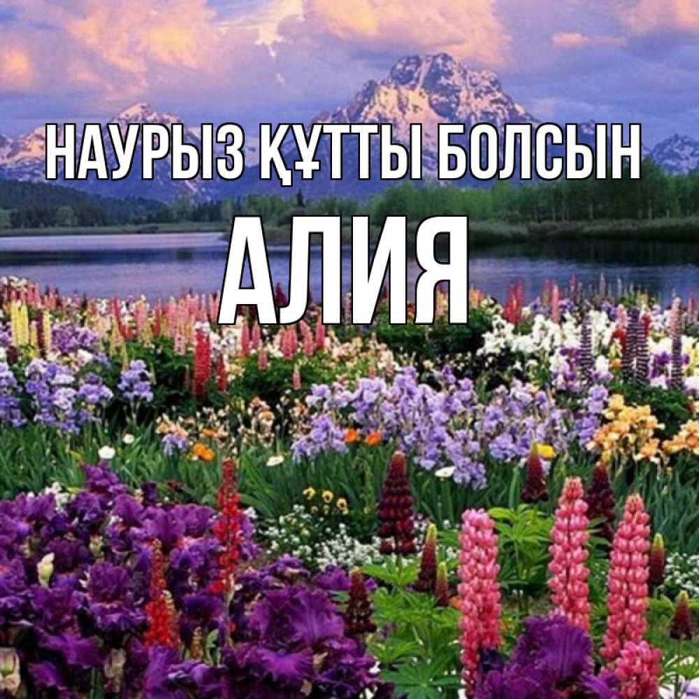 Открытка на каждый день с именем, Алия Наурыз құтты болсын наурыз Прикольная открытка с пожеланием онлайн скачать бесплатно 