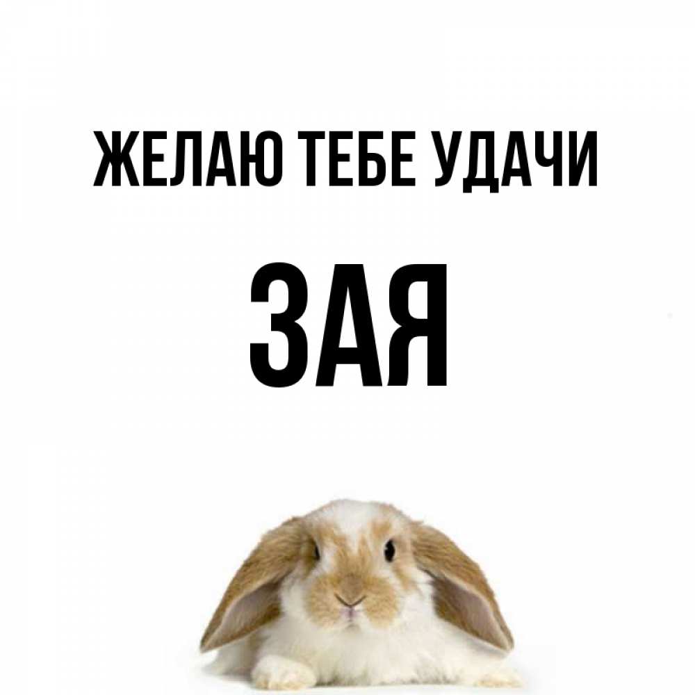 Картинка ты зая