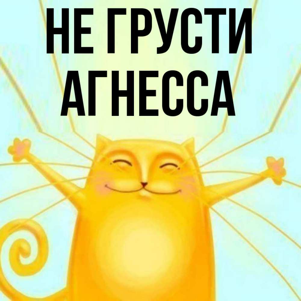 Открытка на каждый день с именем, Агнесса Не грусти обнимашки усатые Прикольная открытка с пожеланием онлайн скачать бесплатно 