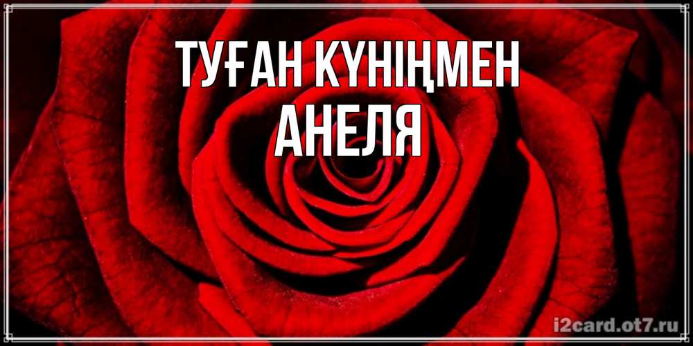 Открытка на каждый день с именем, Анеля Туған күніңмен алая роза Прикольная открытка с пожеланием онлайн скачать бесплатно 