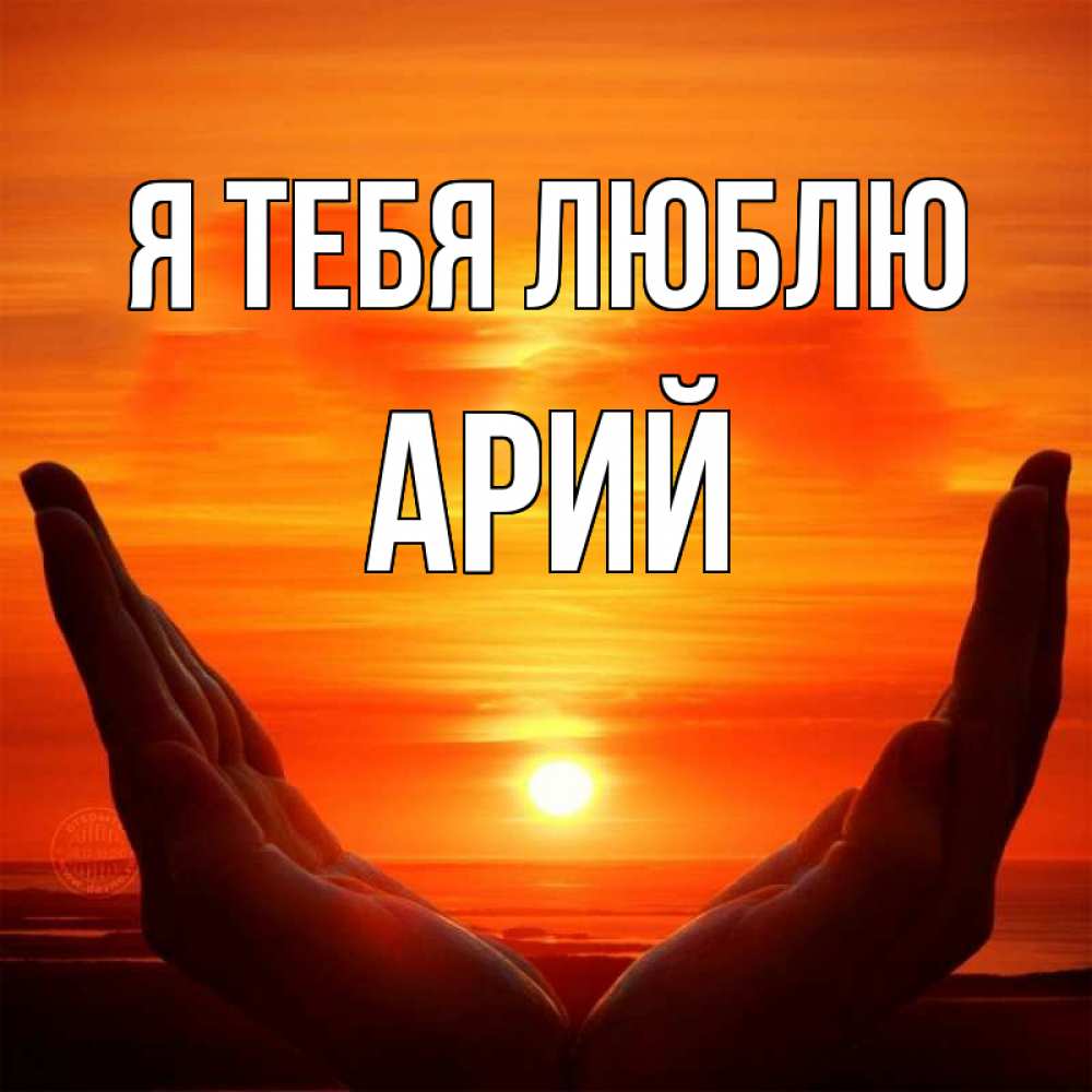 Открытка на каждый день с именем, Арий Я тебя люблю в руках Прикольная открытка с пожеланием онлайн скачать бесплатно 