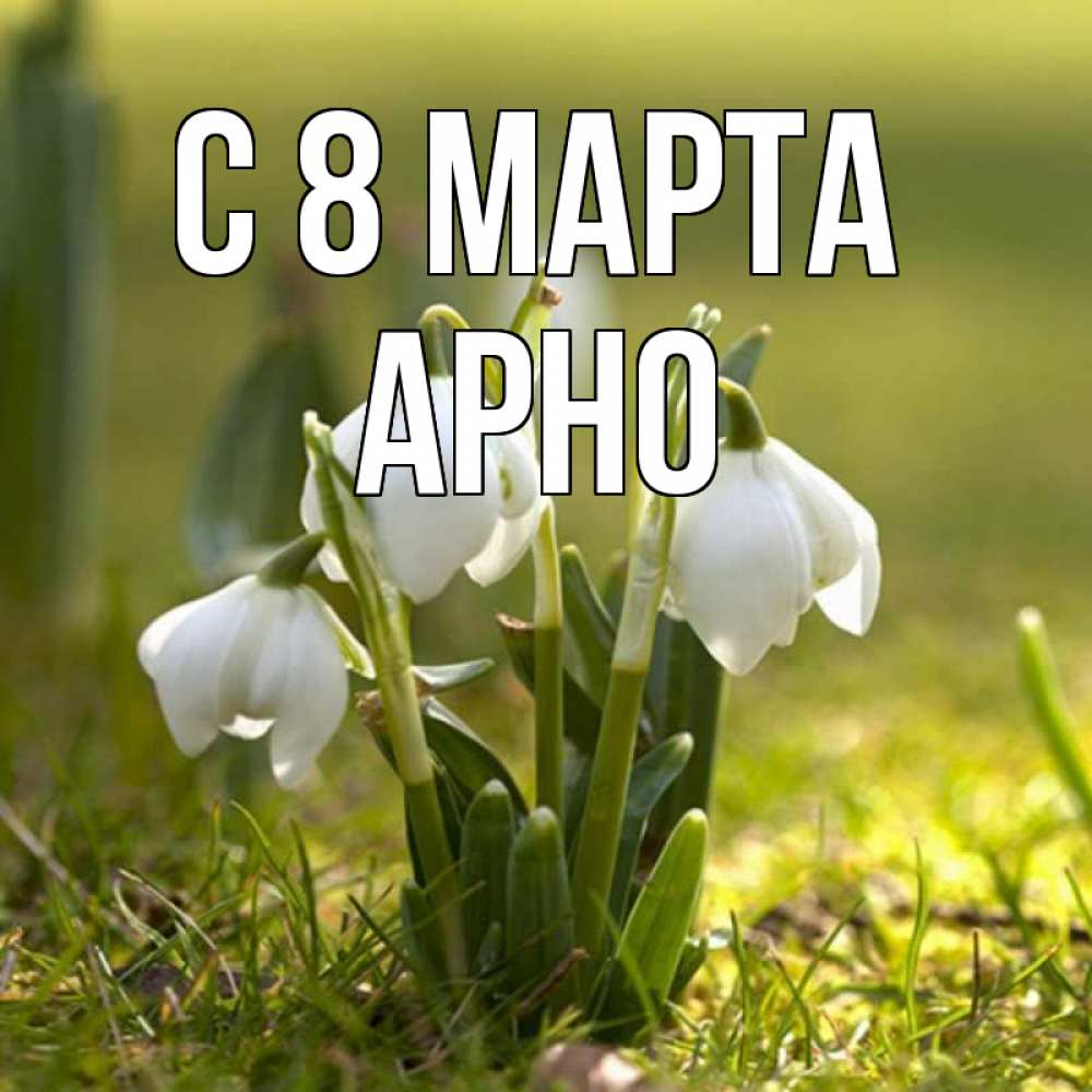 Открытка на каждый день с именем, Арно С 8 МАРТА ранние цветы 2 Прикольная открытка с пожеланием онлайн скачать бесплатно 