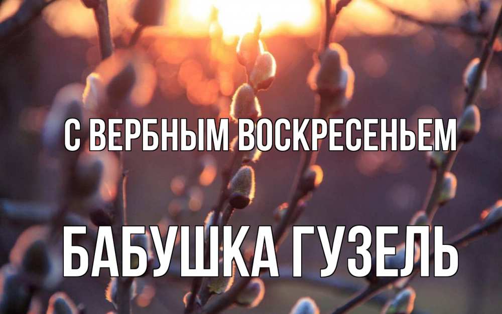Открытка на каждый день с именем, Бабушка-Гузель С вербным воскресеньем верба Прикольная открытка с пожеланием онлайн скачать бесплатно 
