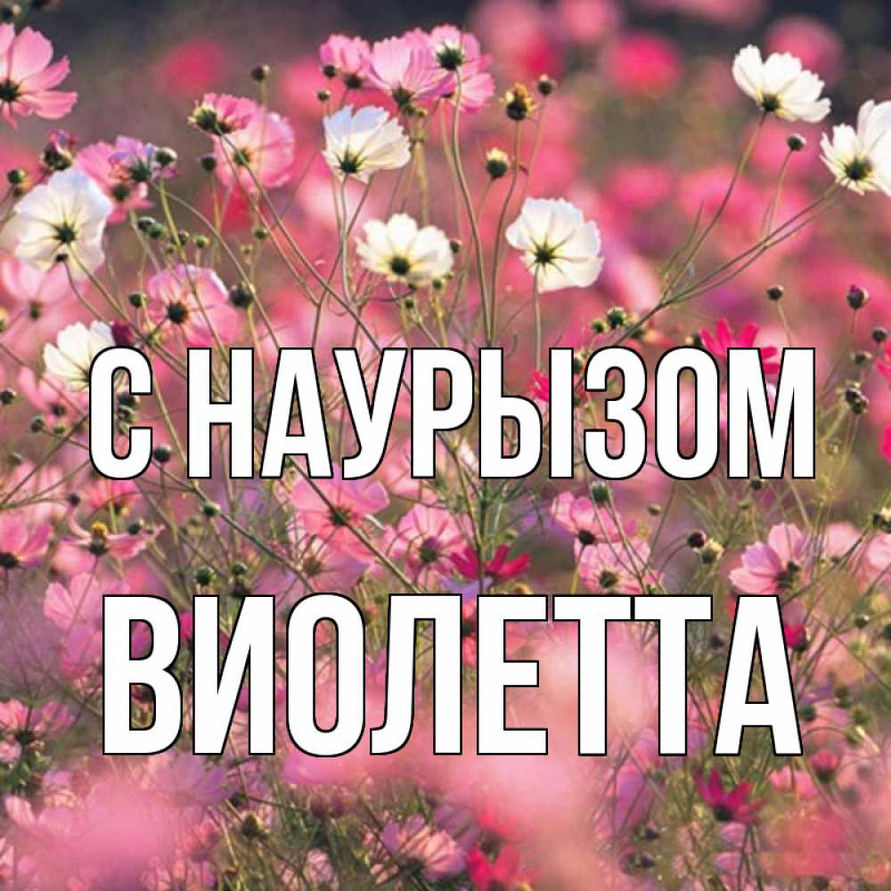 Открытка на каждый день с именем, Виолетта С наурызом красиво 1 Прикольная открытка с пожеланием онлайн скачать бесплатно 