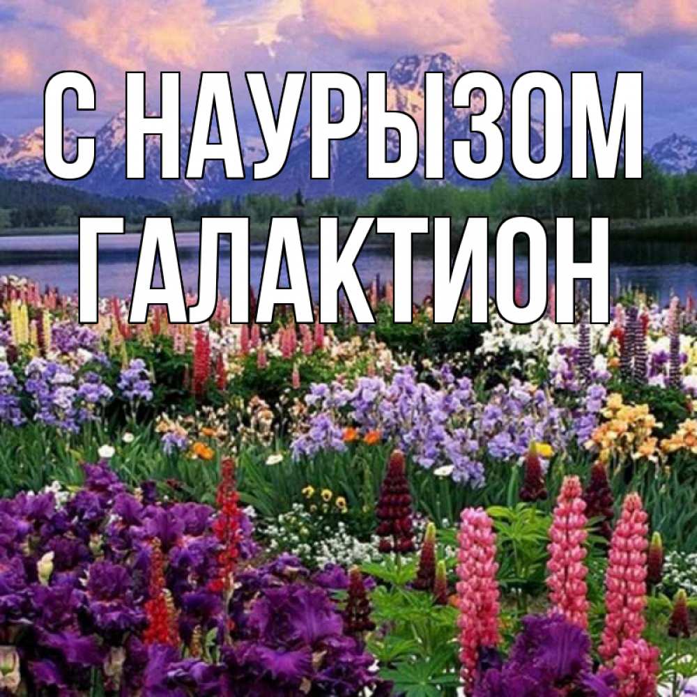 Открытка на каждый день с именем, Галактион С наурызом праздник весны наурыз Прикольная открытка с пожеланием онлайн скачать бесплатно 