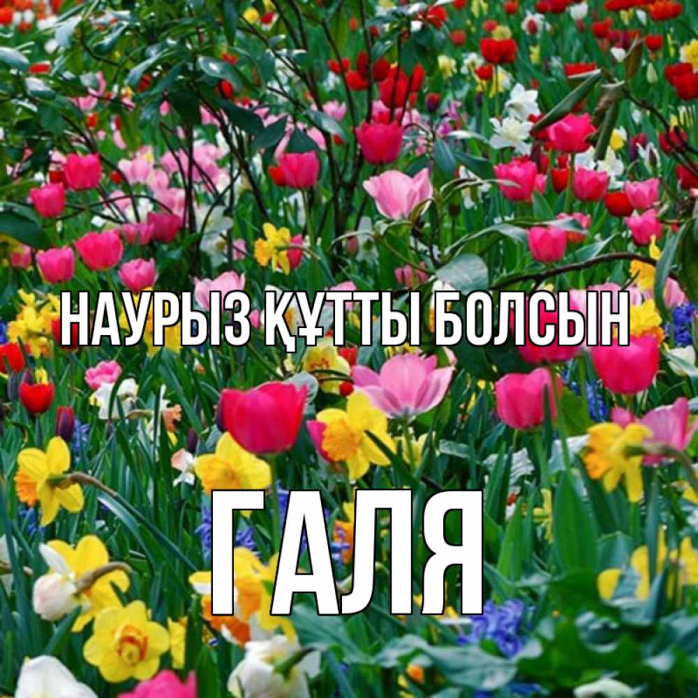 Картинка Наурыз құтты болсын, Галя