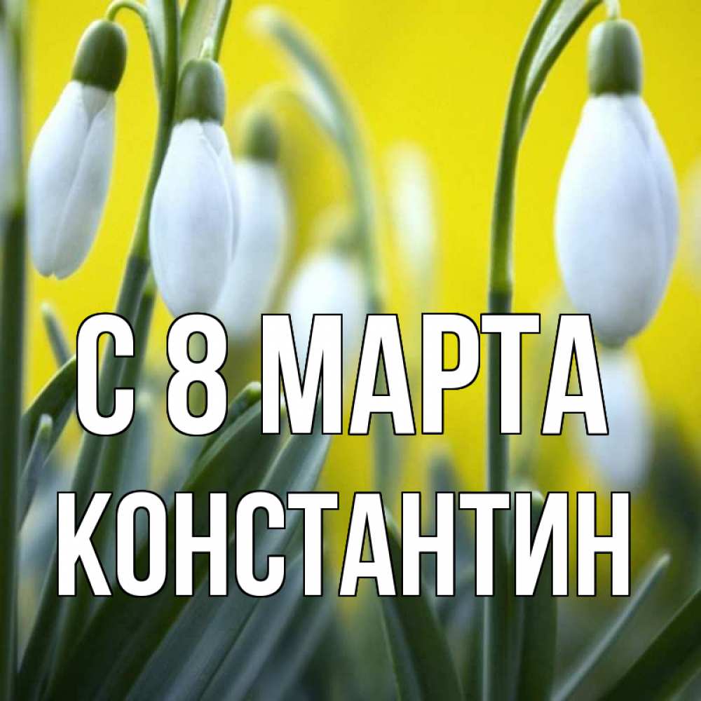 Открытка на каждый день с именем, Константин С 8 МАРТА весенние цветы Прикольная открытка с пожеланием онлайн скачать бесплатно 