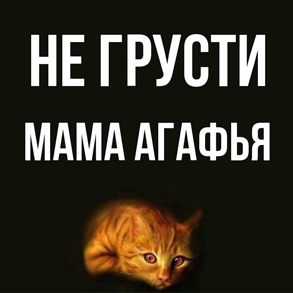 Открытка на каждый день с именем, Мама-Агафья Не грусти лежащий кот в темноте Прикольная открытка с пожеланием онлайн скачать бесплатно 