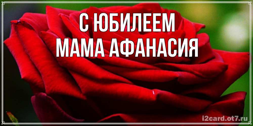 Открытка на каждый день с именем, Мама-Афанасия С юбилеем розочка очень красивая Прикольная открытка с пожеланием онлайн скачать бесплатно 