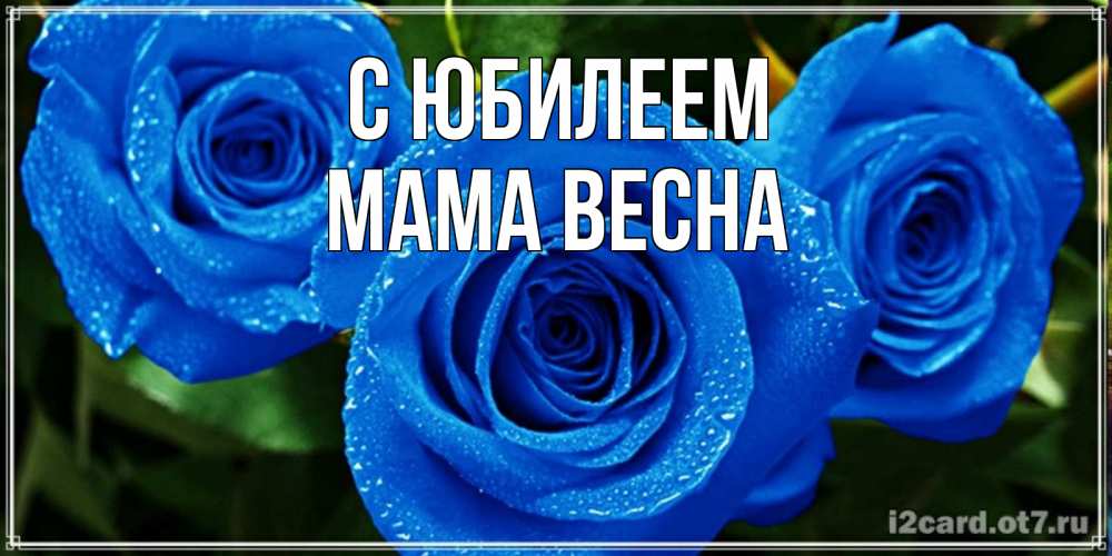 Открытка на каждый день с именем, Мама-Весна С юбилеем розы с синим цветом Прикольная открытка с пожеланием онлайн скачать бесплатно 