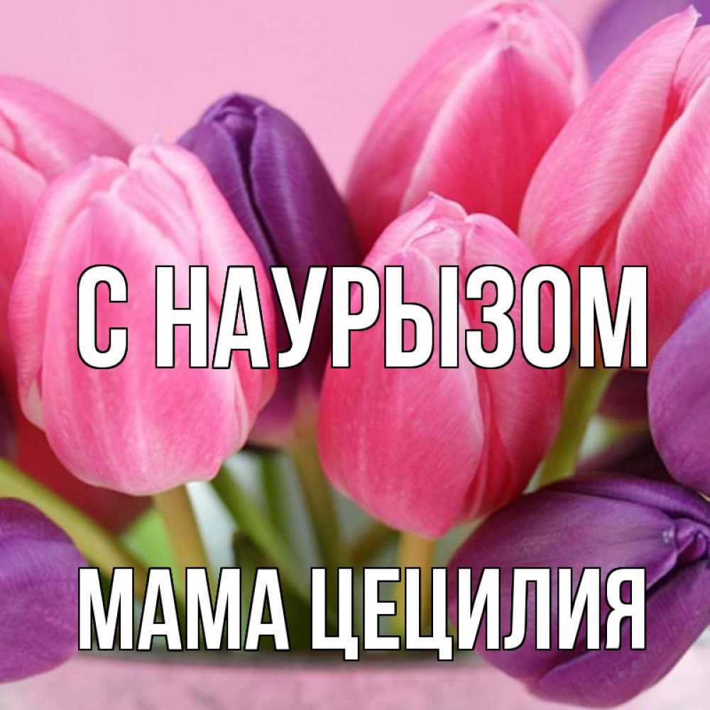 Открытка на каждый день с именем, Мама-Цецилия С наурызом маме 1 Прикольная открытка с пожеланием онлайн скачать бесплатно 