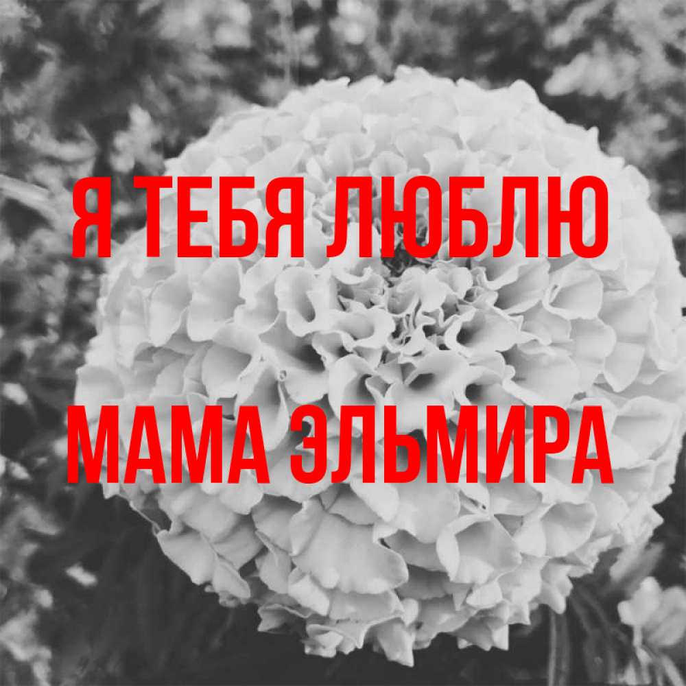 Открытка на каждый день с именем, Мама-Эльмира Я тебя люблю подпись Прикольная открытка с пожеланием онлайн скачать бесплатно 