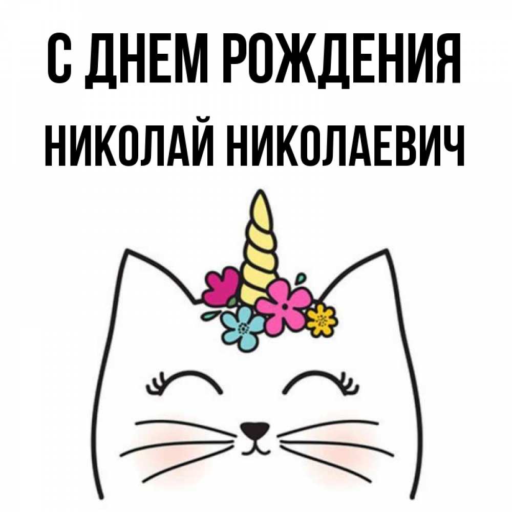 Николай Николаевич С Днем Рождения