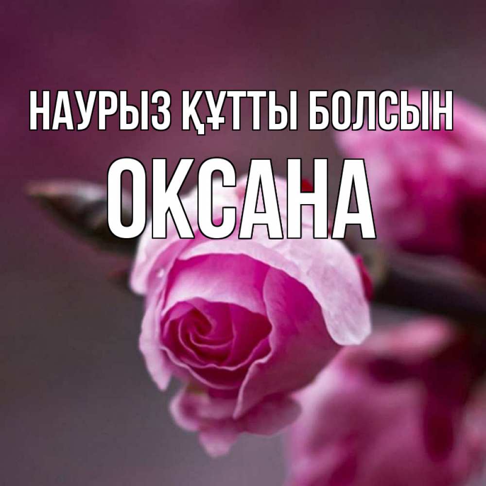 Открытка на каждый день с именем, Оксана Наурыз құтты болсын весна Прикольная открытка с пожеланием онлайн скачать бесплатно 