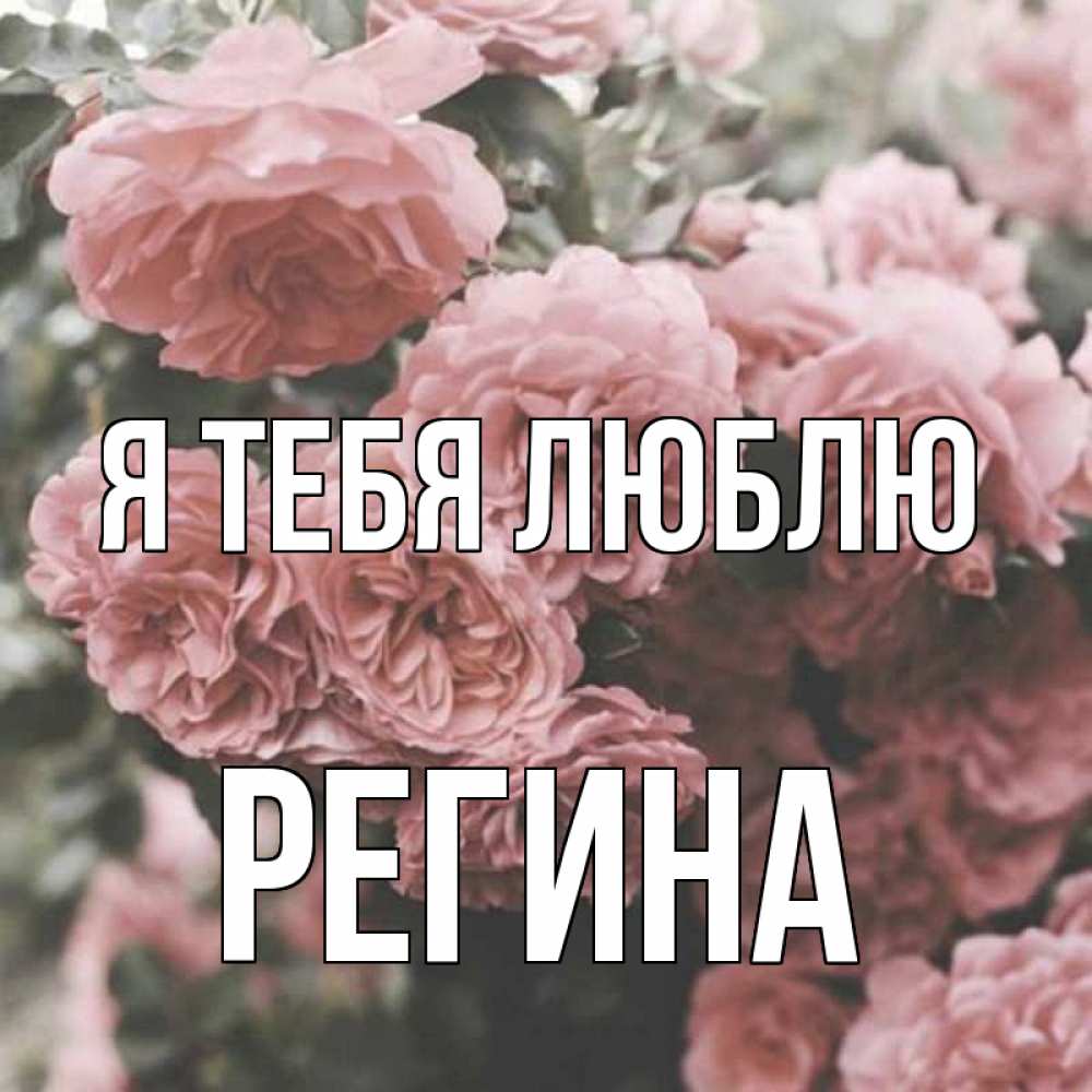 Открытка на каждый день с именем, Регина Я тебя люблю розы 3 Прикольная открытка с пожеланием онлайн скачать бесплатно 