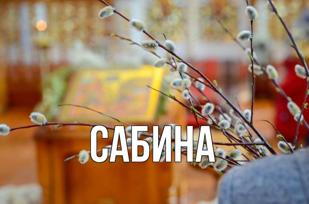 Открытка на каждый день с именем, Сабина Главная верба Прикольная открытка с пожеланием онлайн скачать бесплатно 