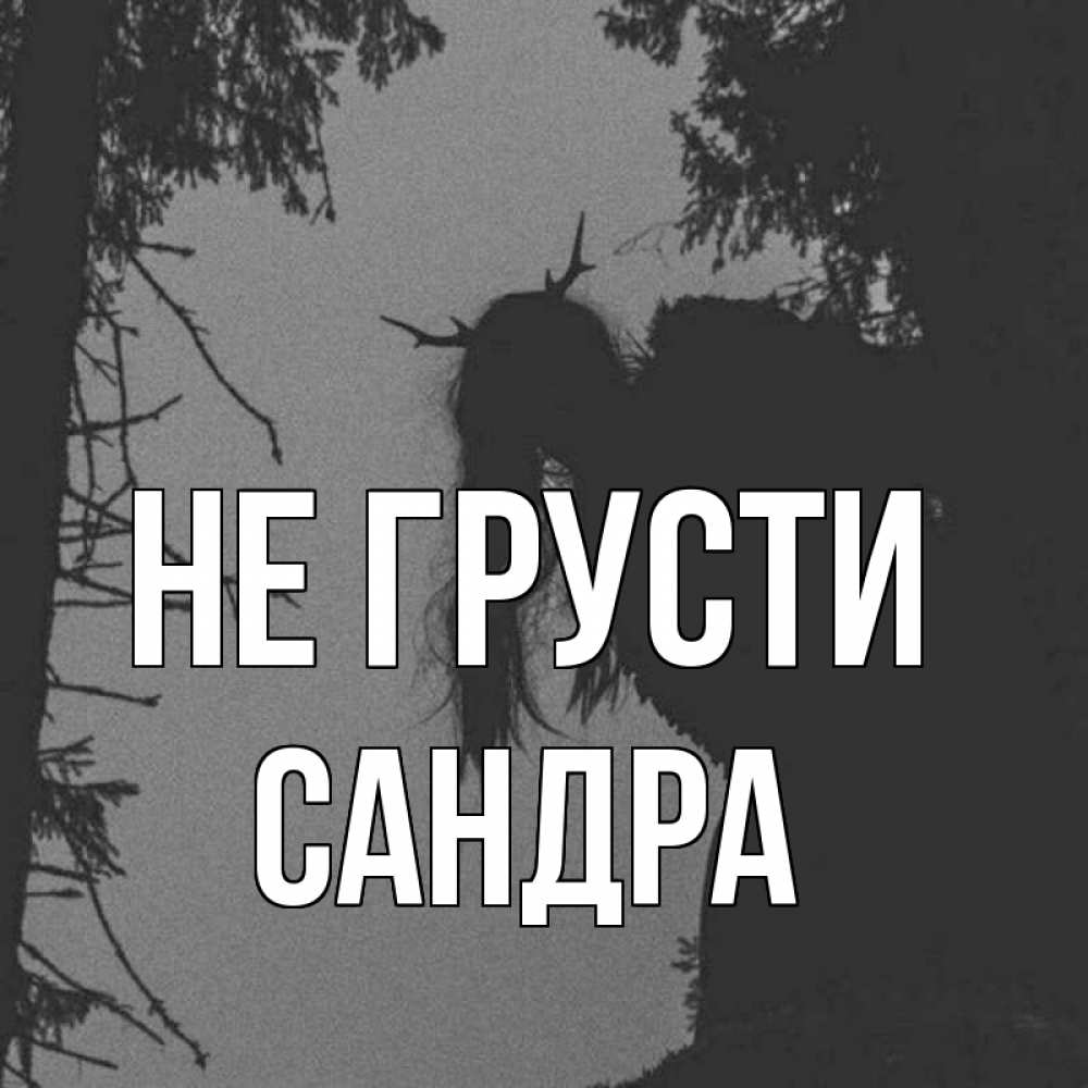 Открытка на каждый день с именем, Сандра Не грусти чудище лесное Прикольная открытка с пожеланием онлайн скачать бесплатно 