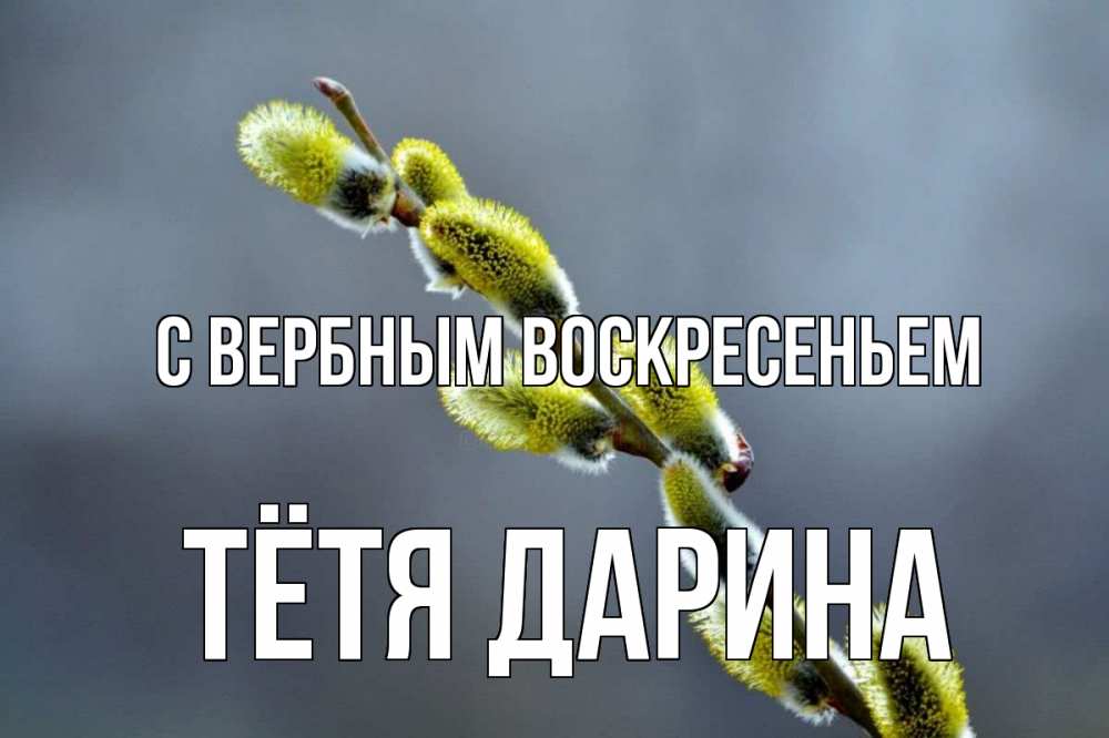 Открытка на каждый день с именем, Тётя-Дарина С вербным воскресеньем верба Прикольная открытка с пожеланием онлайн скачать бесплатно 